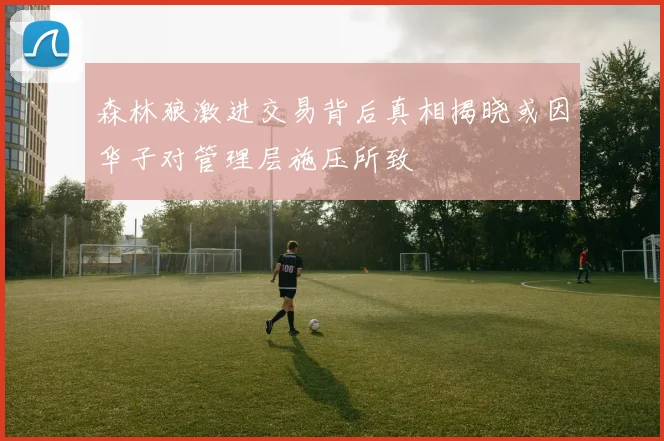 森林狼激进交易背后真相揭晓或因华子对管理层施压所致