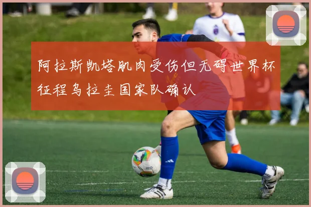 阿拉斯凯塔肌肉受伤但无碍世界杯征程乌拉圭国家队确认